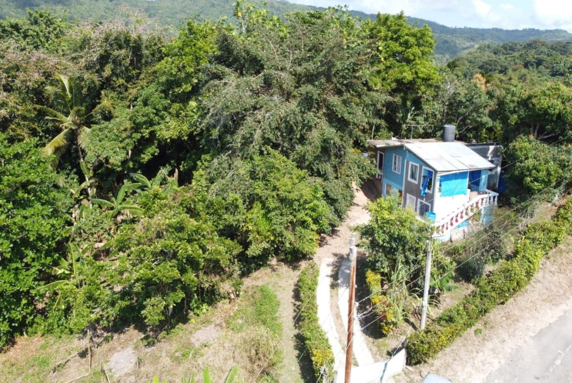 Tenth image of Dressikie pa in Lambkin Hill, St. Mary, Jamaica - property is For Sale