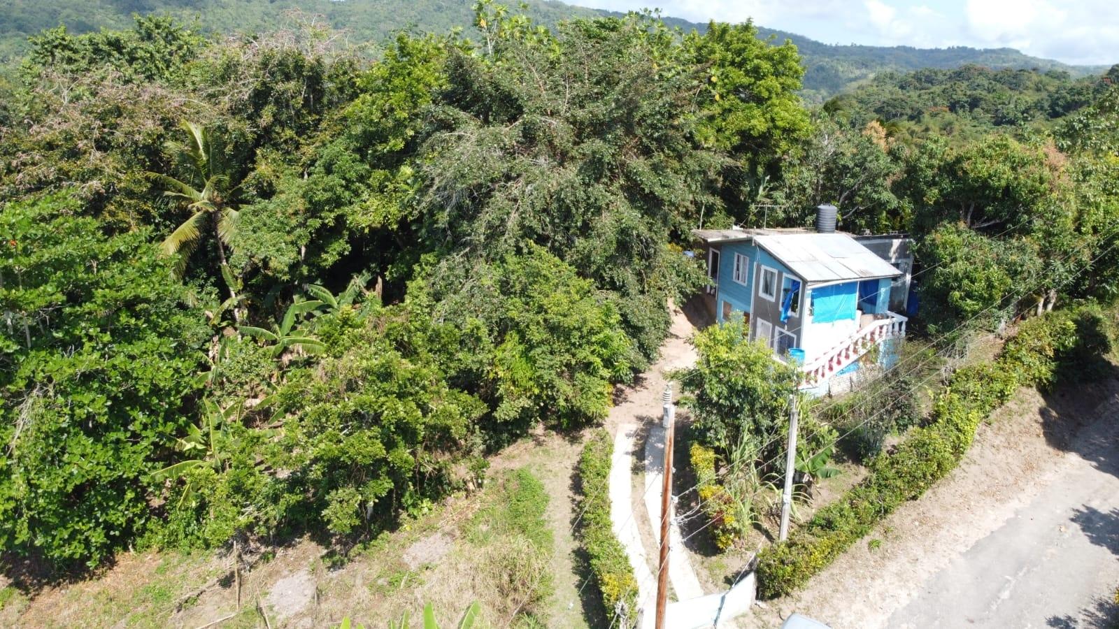 Tenth image of Dressikie pa in Lambkin Hill, St. Mary, Jamaica - property is For Sale