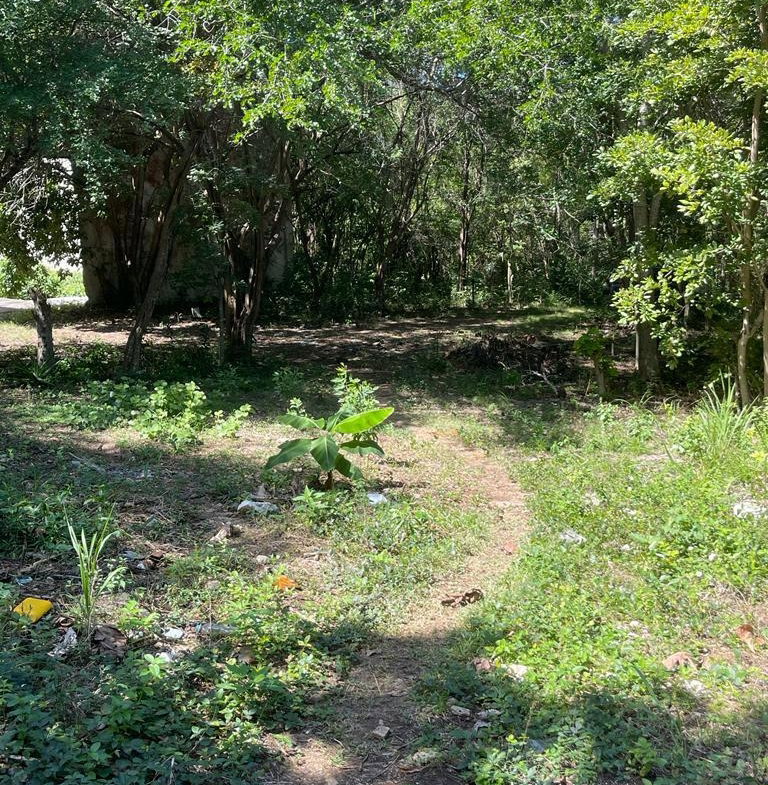 Eleventh image of Torado Heights in Montego Bay, St. James, Jamaica - property is For Sale