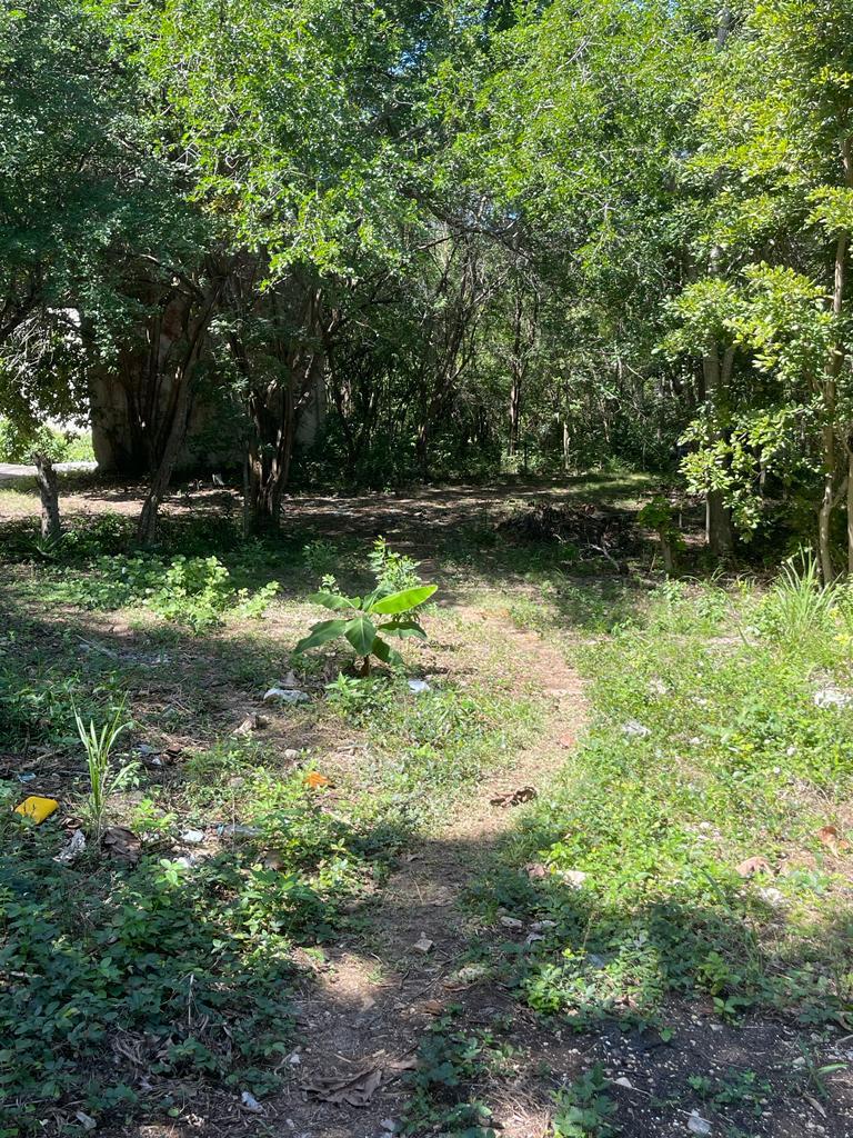 Prime-Development-Land-for-Sale-in-Torado-Heights-Jamaica Eleventh image of Torado Heights in Montego Bay, St. James, Jamaica - property is For Sale