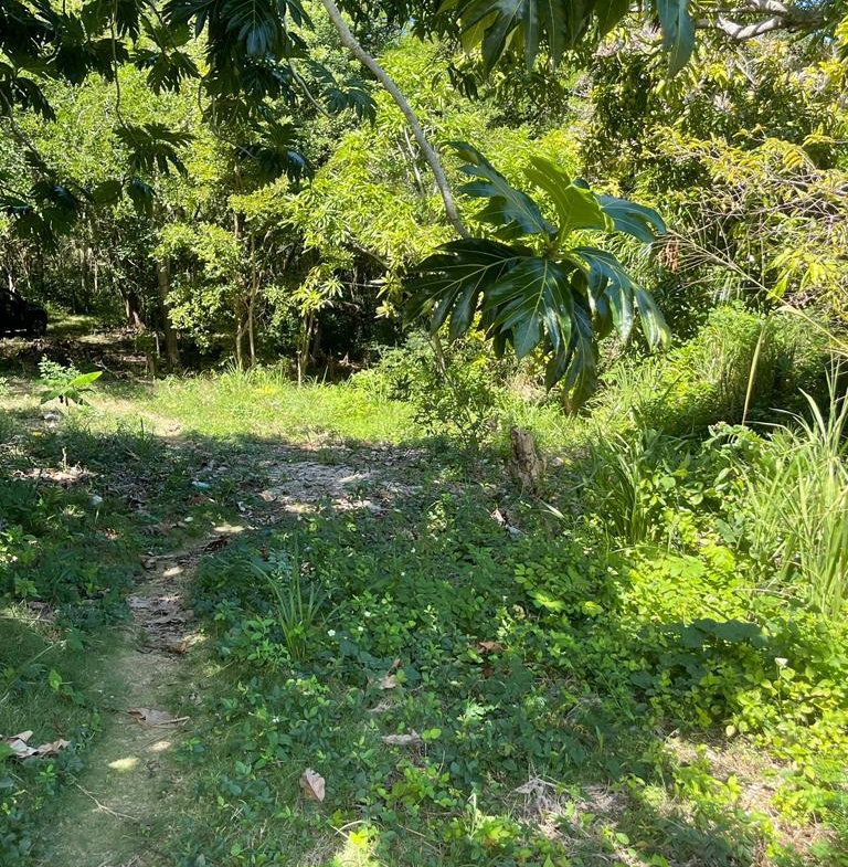 Twelfth image of Torado Heights in Montego Bay, St. James, Jamaica - property is For Sale