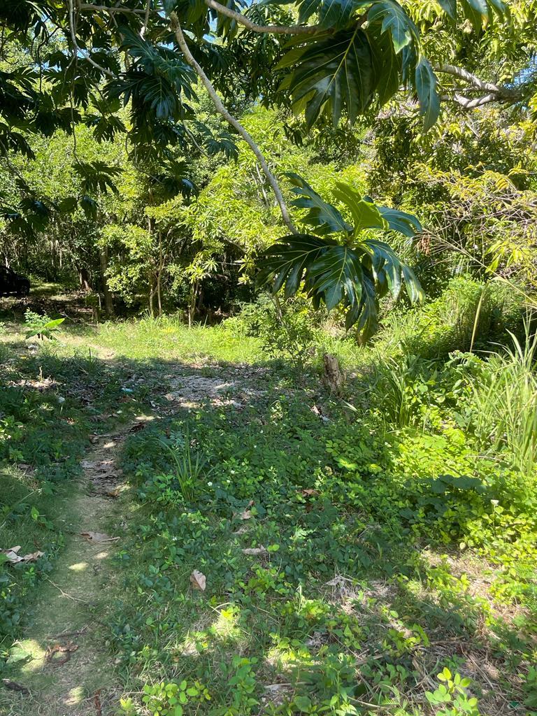 Prime-Development-Land-for-Sale-in-Torado-Heights-Jamaica Twelfth image of Torado Heights in Montego Bay, St. James, Jamaica - property is For Sale