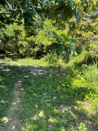 Twelfth image of Torado Heights in Montego Bay, St. James, Jamaica - property is For Sale