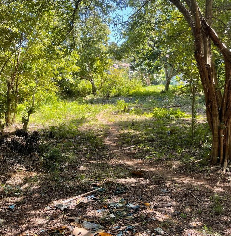 Thirteenth image of Torado Heights in Montego Bay, St. James, Jamaica - property is For Sale