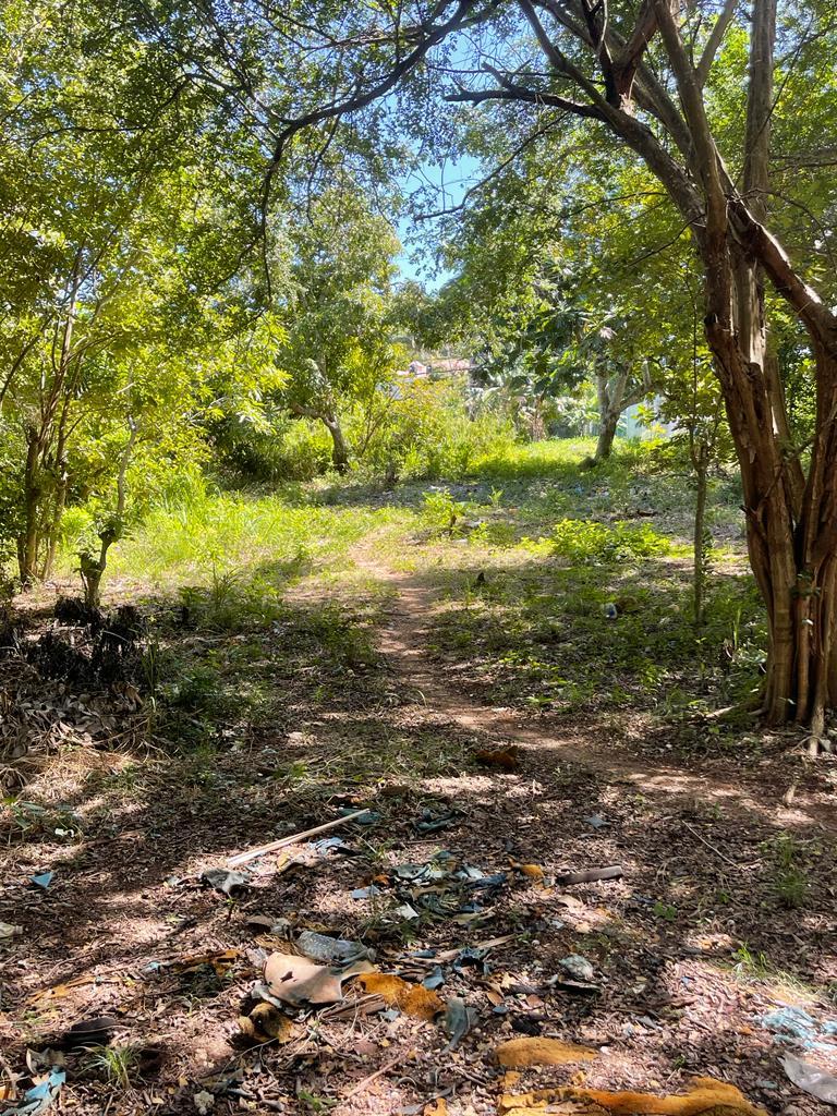 Prime-Development-Land-for-Sale-in-Torado-Heights-Jamaica Thirteenth image of Torado Heights in Montego Bay, St. James, Jamaica - property is For Sale