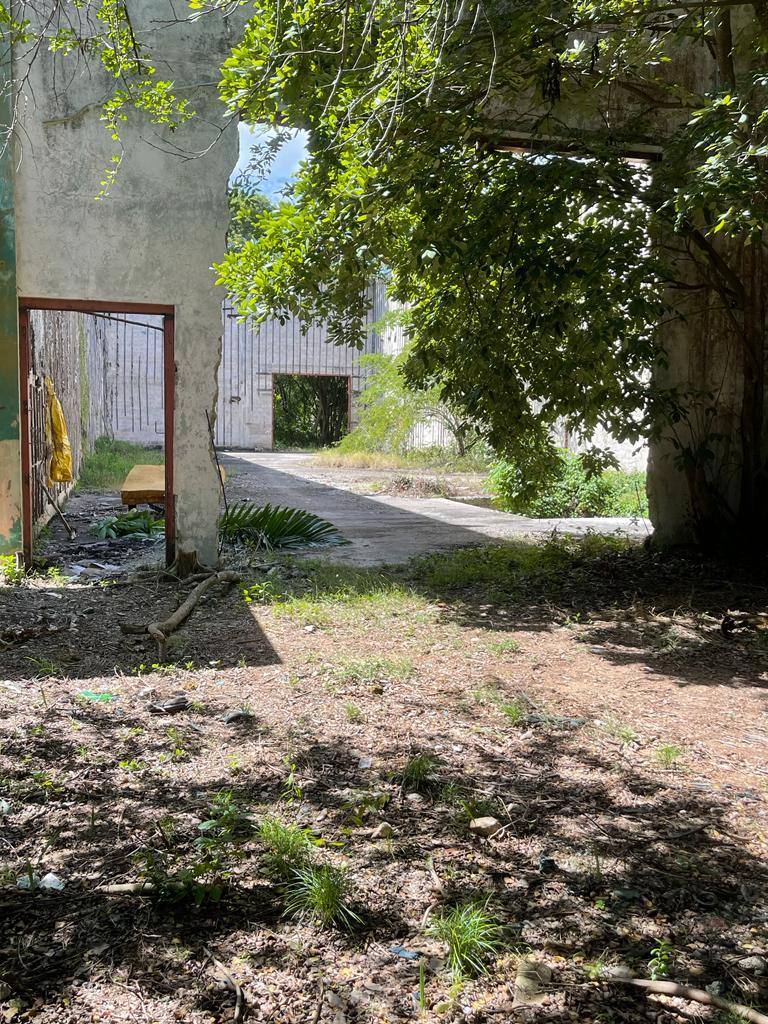 Prime-Development-Land-for-Sale-in-Torado-Heights-Jamaica Sixteenth image of Torado Heights in Montego Bay, St. James, Jamaica - property is For Sale