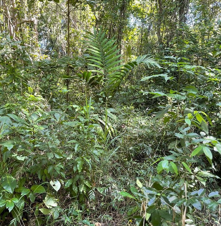 Seventeenth image of Torado Heights in Montego Bay, St. James, Jamaica - property is For Sale