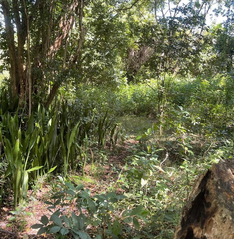 Eighteenth image of Torado Heights in Montego Bay, St. James, Jamaica - property is For Sale