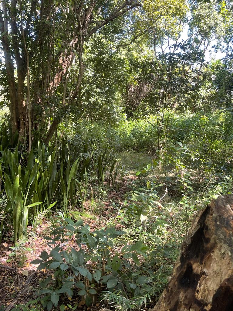 Prime-Development-Land-for-Sale-in-Torado-Heights-Jamaica Eighteenth image of Torado Heights in Montego Bay, St. James, Jamaica - property is For Sale