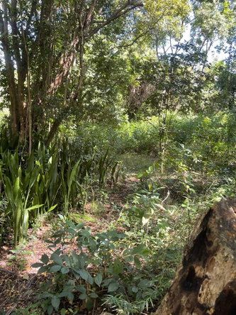 Eighteenth image of Torado Heights in Montego Bay, St. James, Jamaica - property is For Sale