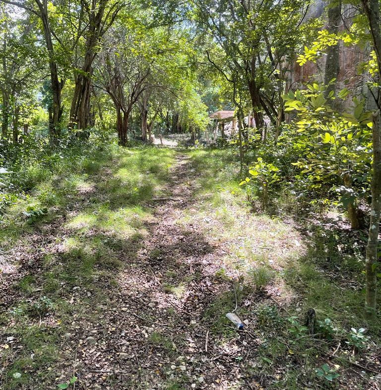 Third image of Torado Heights in Montego Bay, St. James, Jamaica - property is For Sale