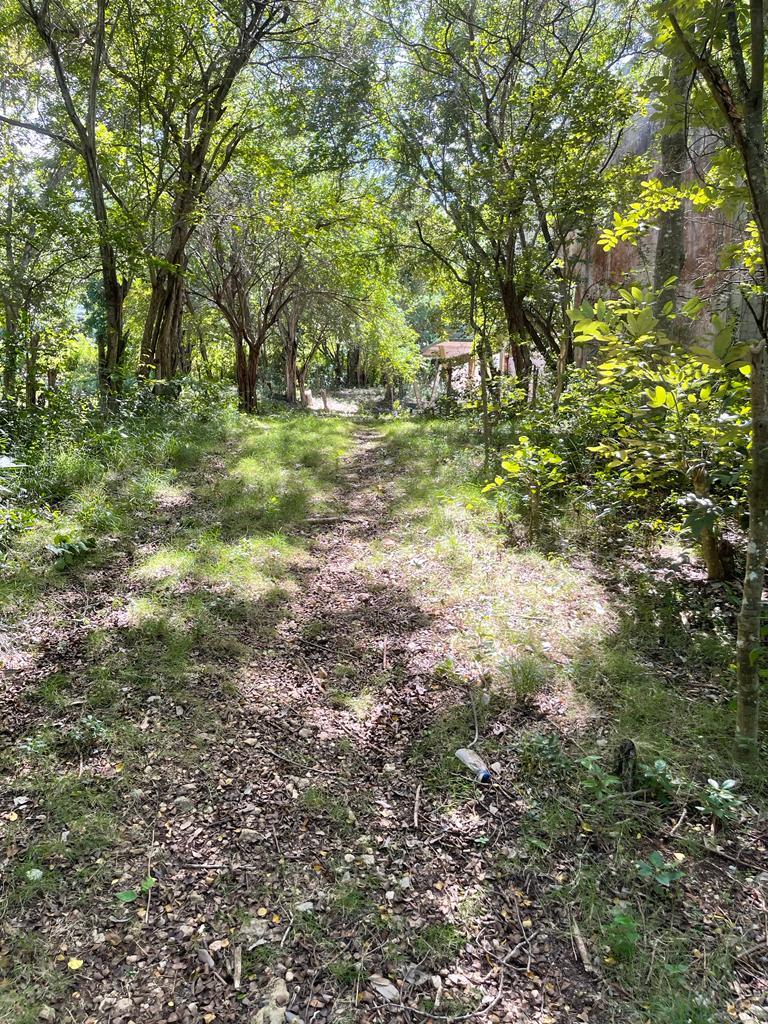 Prime-Development-Land-for-Sale-in-Torado-Heights-Jamaica Third image of Torado Heights in Montego Bay, St. James, Jamaica - property is For Sale