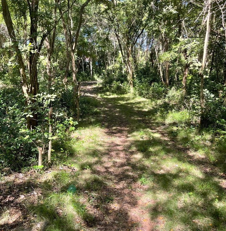 Fourth image of Torado Heights in Montego Bay, St. James, Jamaica - property is For Sale
