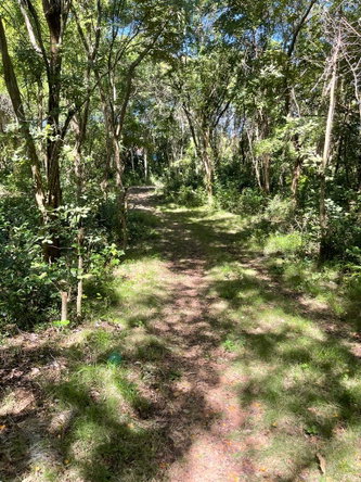 Fourth image of Torado Heights in Montego Bay, St. James, Jamaica - property is For Sale