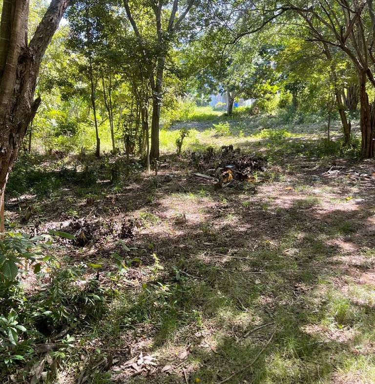 Fifth image of Torado Heights in Montego Bay, St. James, Jamaica - property is For Sale