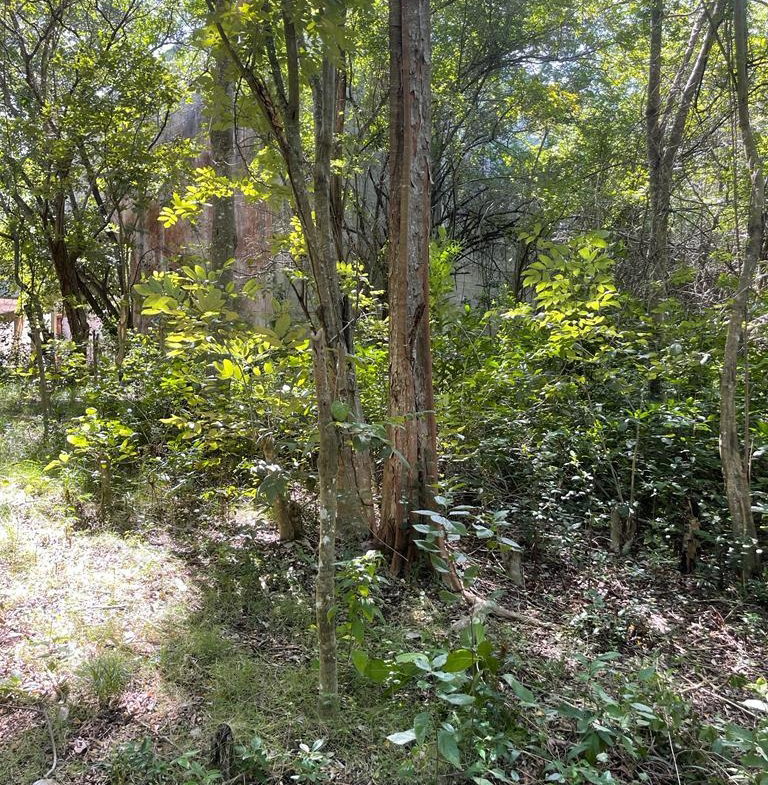 Seventh image of Torado Heights in Montego Bay, St. James, Jamaica - property is For Sale