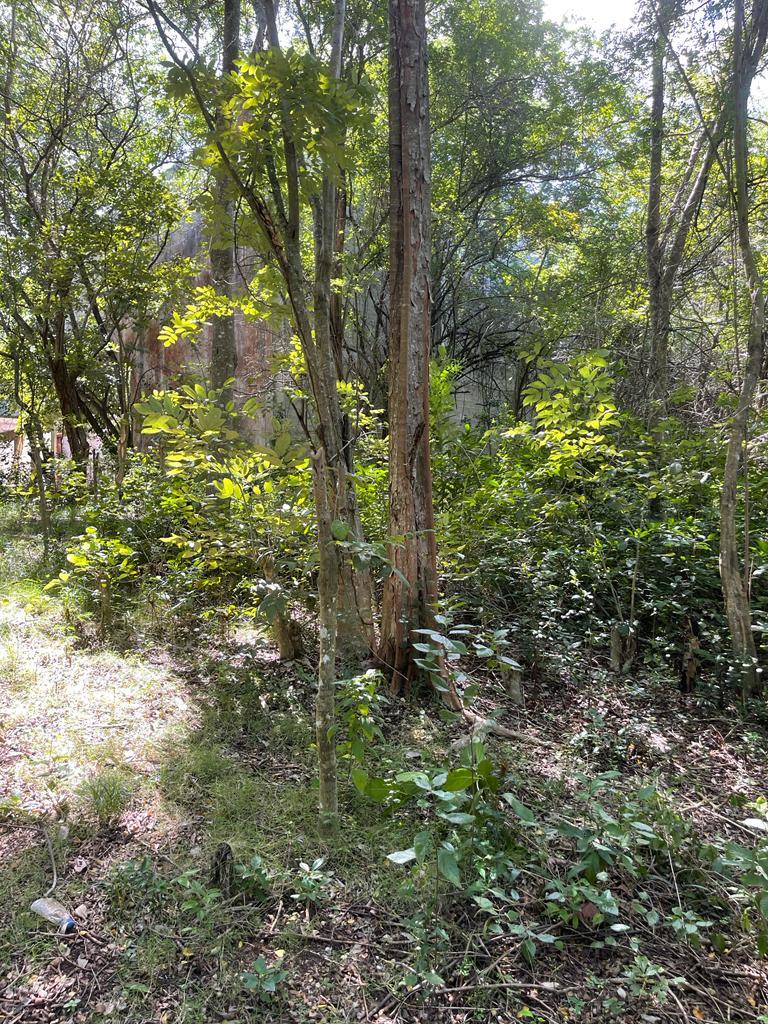 Prime-Development-Land-for-Sale-in-Torado-Heights-Jamaica Seventh image of Torado Heights in Montego Bay, St. James, Jamaica - property is For Sale