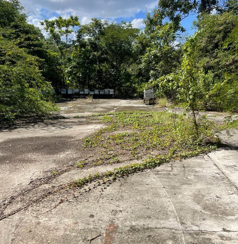 First image of Torado Heights in Montego Bay, St. James, Jamaica - property is For Sale