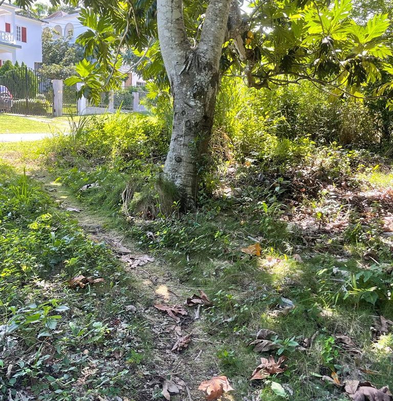 Ninth image of Torado Heights in Montego Bay, St. James, Jamaica - property is For Sale