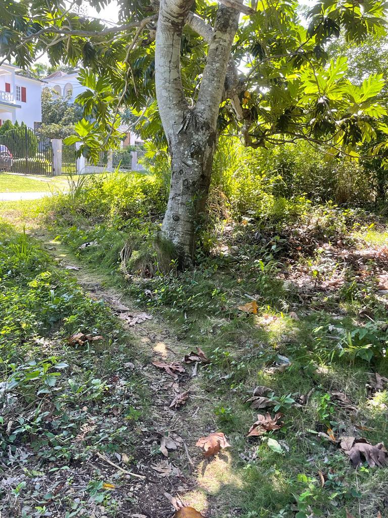 Prime-Development-Land-for-Sale-in-Torado-Heights-Jamaica Ninth image of Torado Heights in Montego Bay, St. James, Jamaica - property is For Sale