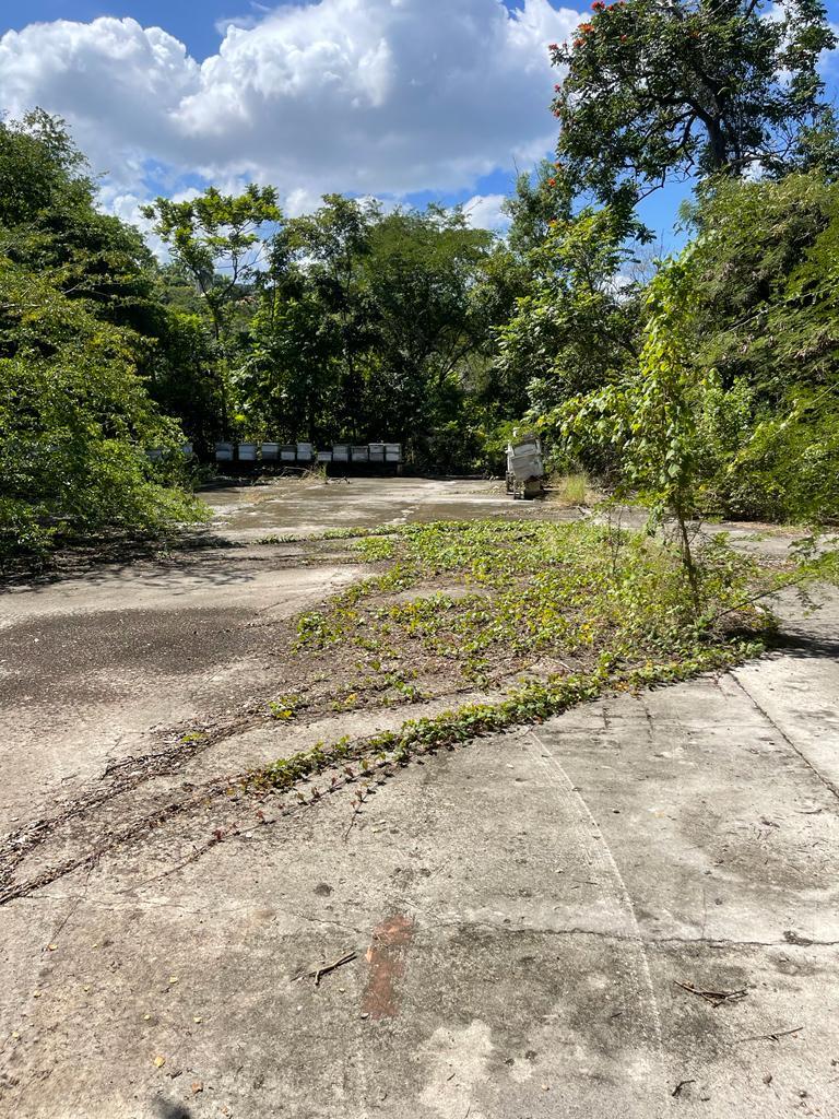 Prime-Development-Land-for-Sale-in-Torado-Heights-Jamaica First image of Torado Heights in Montego Bay, St. James, Jamaica - property is For Sale