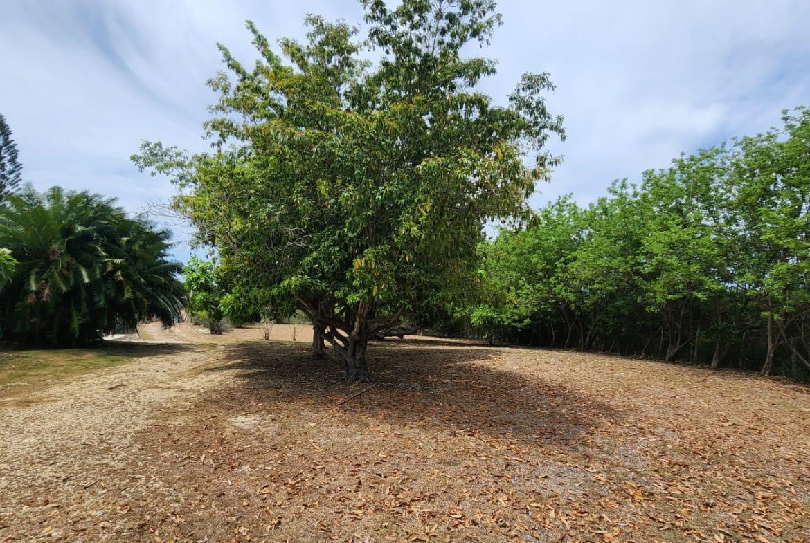 Second image of Treasure Beach in Treasure Beach, St. Elizabeth, Jamaica - property is For Sale