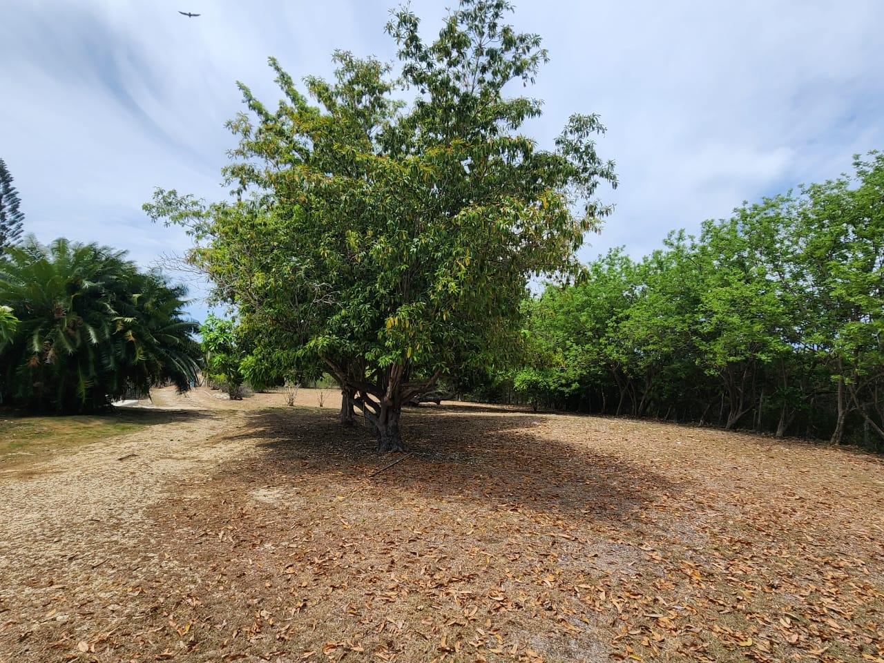 Second image of Treasure Beach in Treasure Beach, St. Elizabeth, Jamaica - property is For Sale