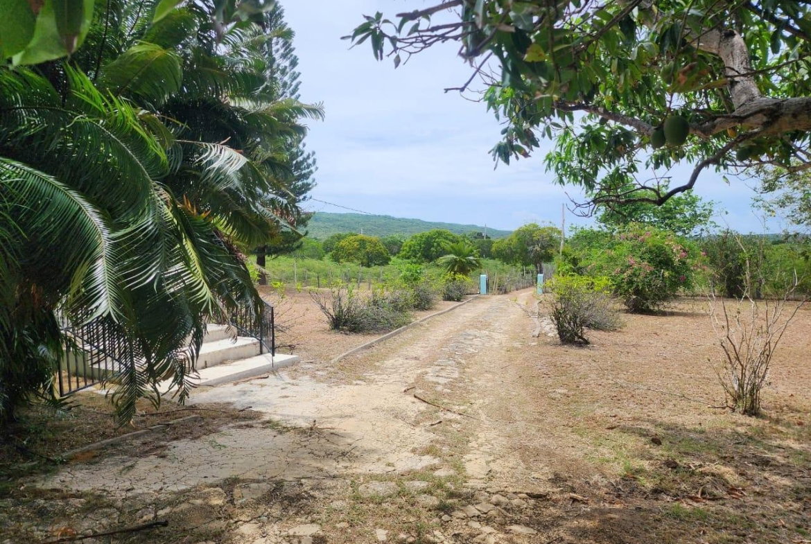First image of Treasure Beach in Treasure Beach, St. Elizabeth, Jamaica - property is For Sale