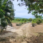 First image of Treasure Beach in Treasure Beach, St. Elizabeth, Jamaica - property is For Sale