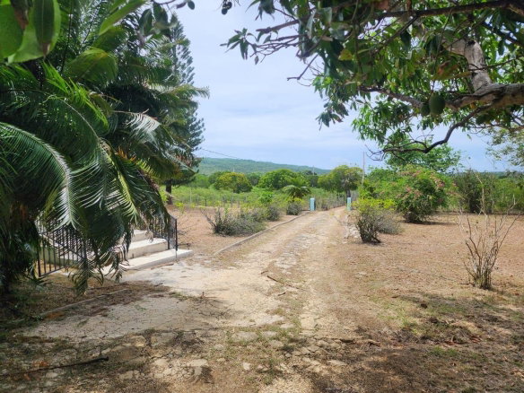 First image of Treasure Beach in Treasure Beach, St. Elizabeth, Jamaica - property is For Sale