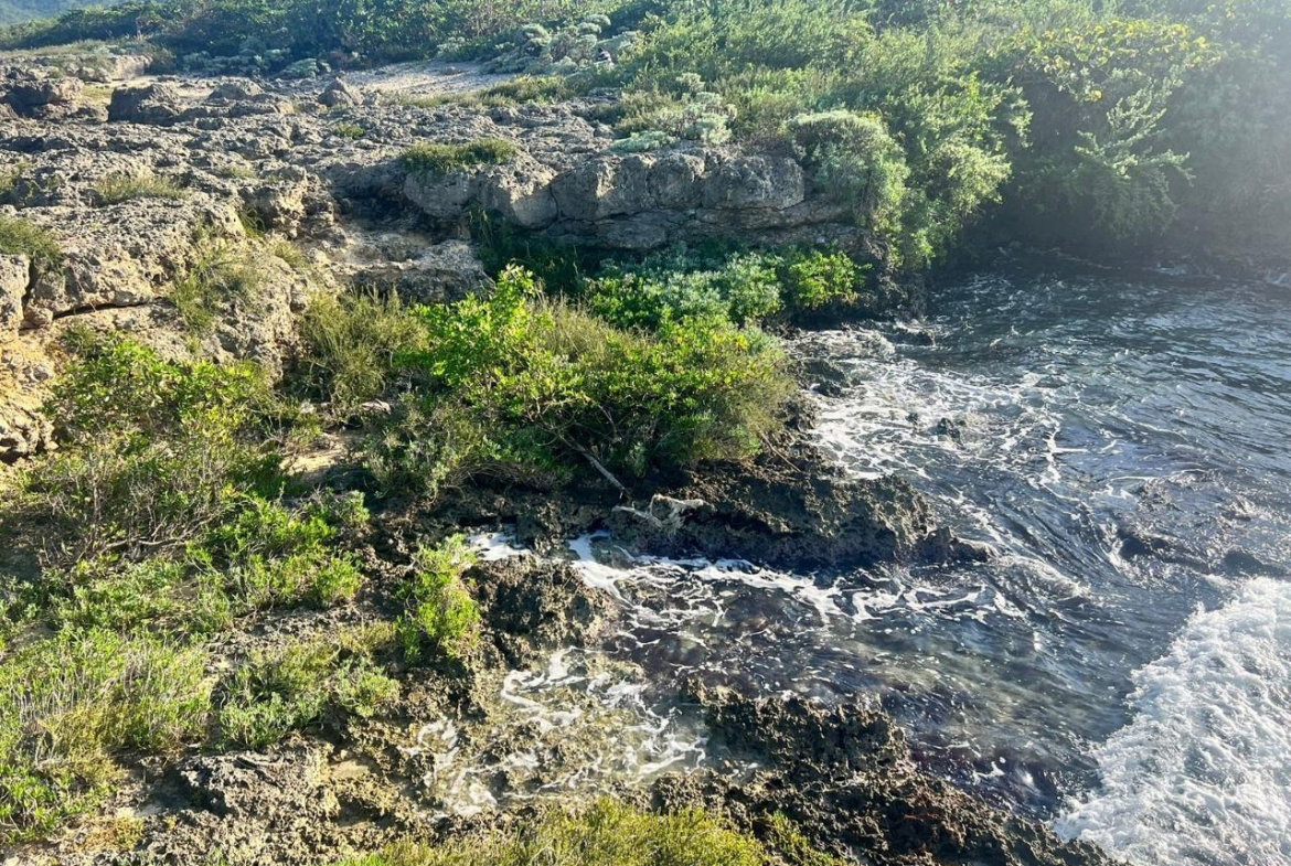 Sixth image of Lot a1 Rio Bueno in Rio Bueno, Trelawny, Jamaica - property is For Sale