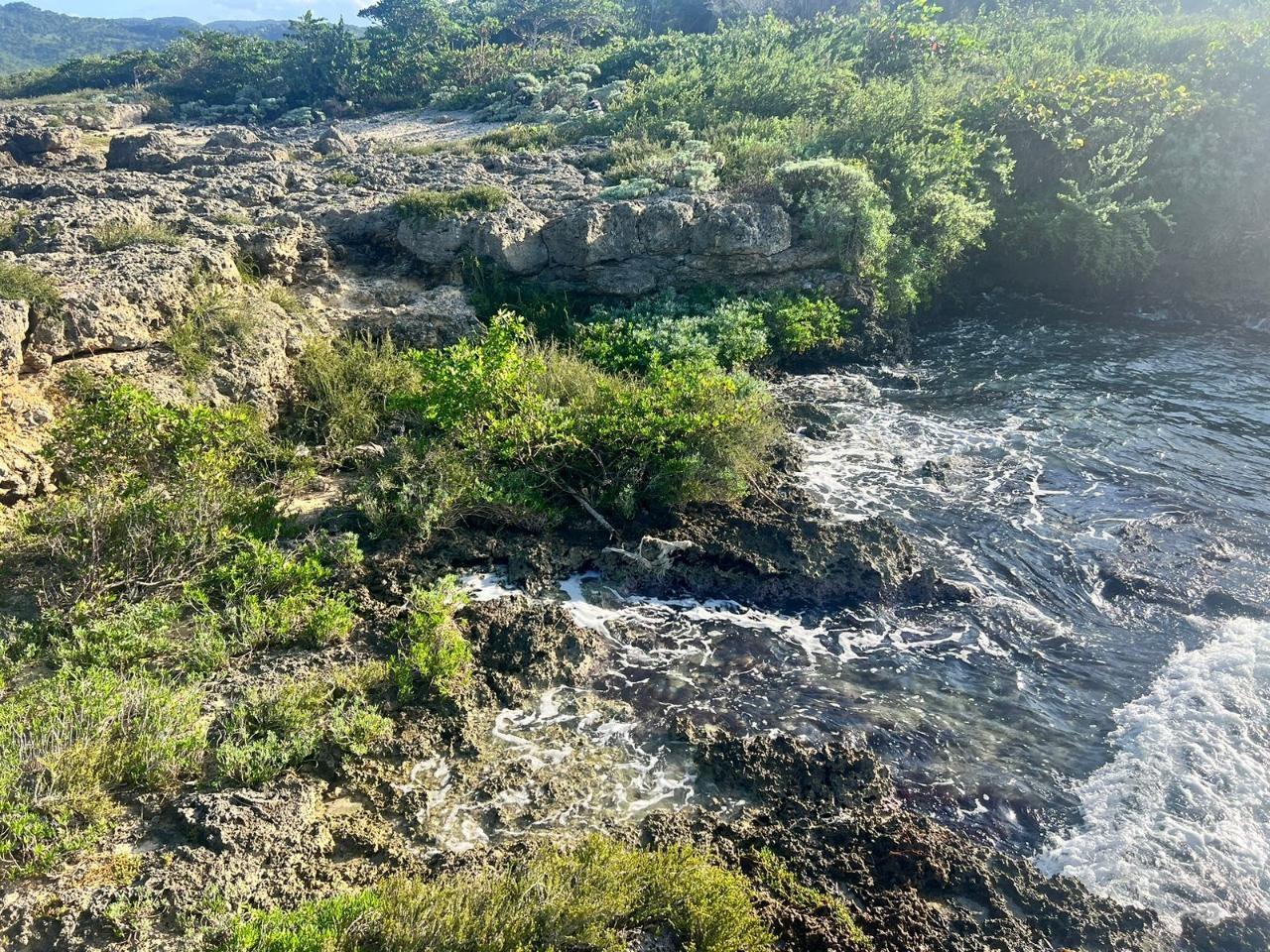 Sixth image of Lot a1 Rio Bueno in Rio Bueno, Trelawny, Jamaica - property is For Sale