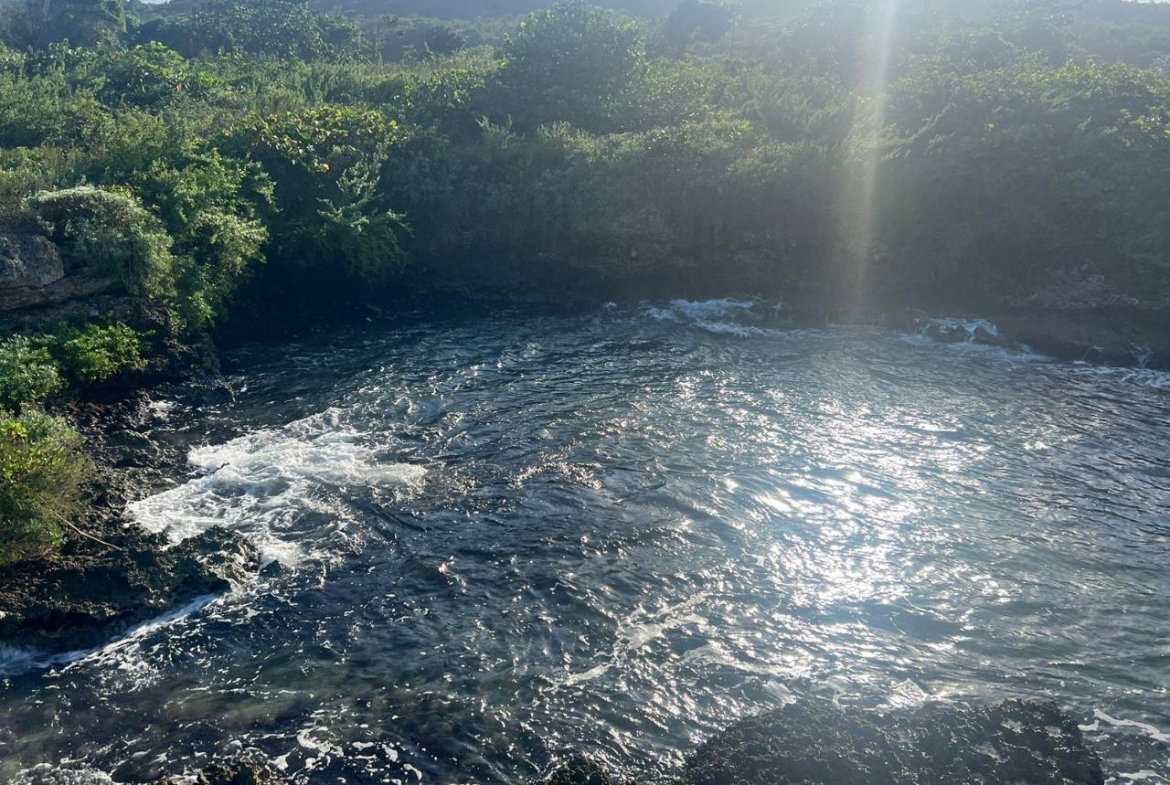 Seventh image of Lot a1 Rio Bueno in Rio Bueno, Trelawny, Jamaica - property is For Sale