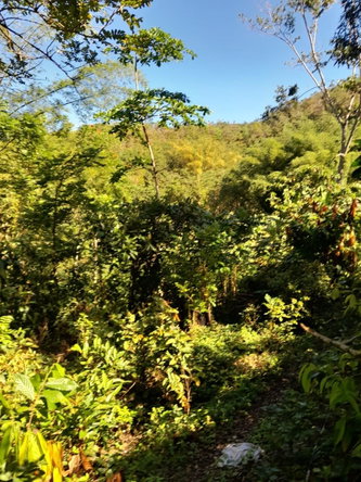 Fourth image of Ulster Spring in Ulster Spring, Trelawny, Jamaica - property is For Sale