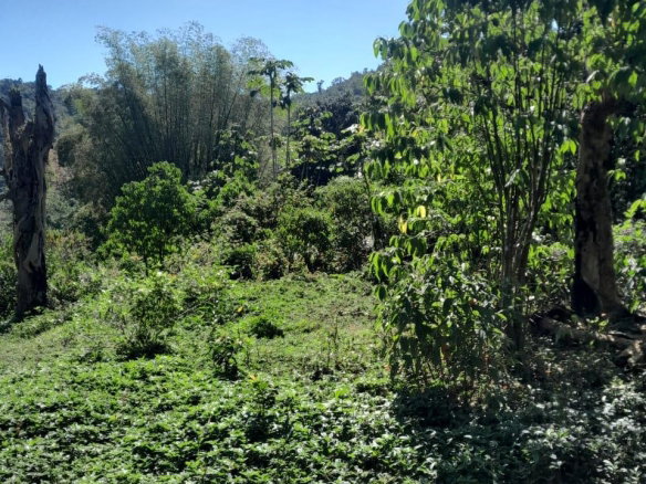 First image of Ulster Spring in Ulster Spring, Trelawny, Jamaica - property is For Sale