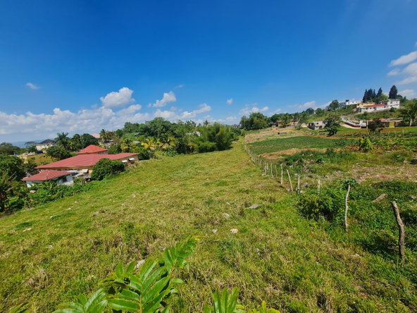 Fourth image of Waltham in Mandeville, Manchester, Jamaica - property is For Sale