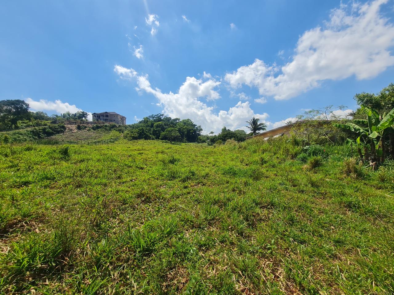 Fifth image of Waltham in Mandeville, Manchester, Jamaica - property is For Sale