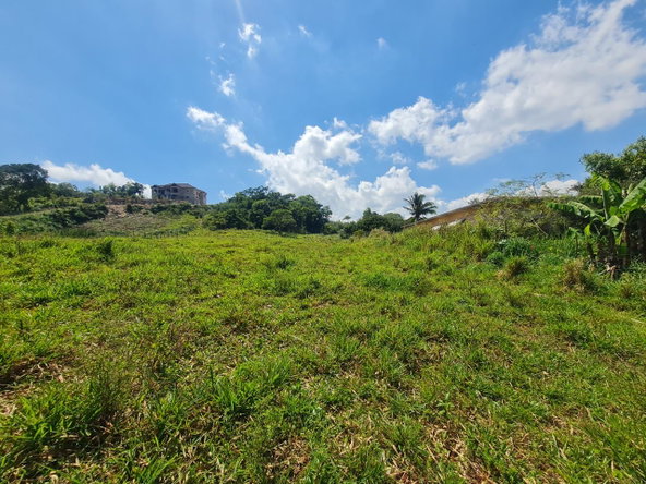 Fifth image of Waltham in Mandeville, Manchester, Jamaica - property is For Sale