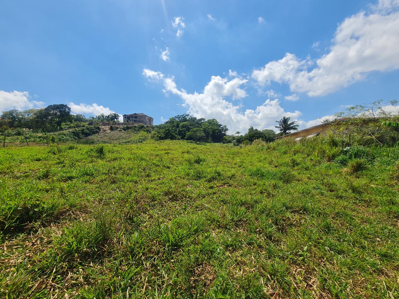 Sixth image of Waltham in Mandeville, Manchester, Jamaica - property is For Sale