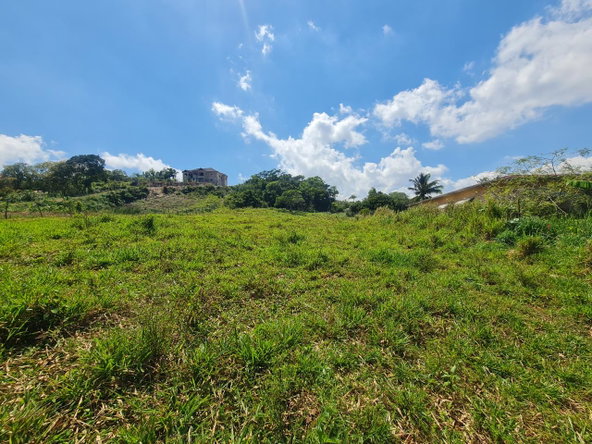 Sixth image of Waltham in Mandeville, Manchester, Jamaica - property is For Sale