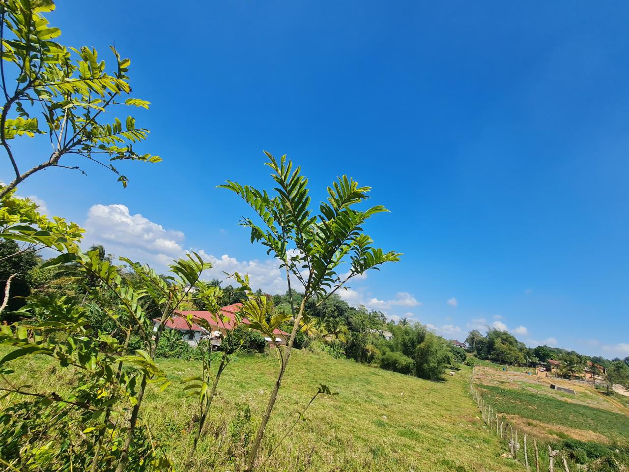 Seventh image of Waltham in Mandeville, Manchester, Jamaica - property is For Sale