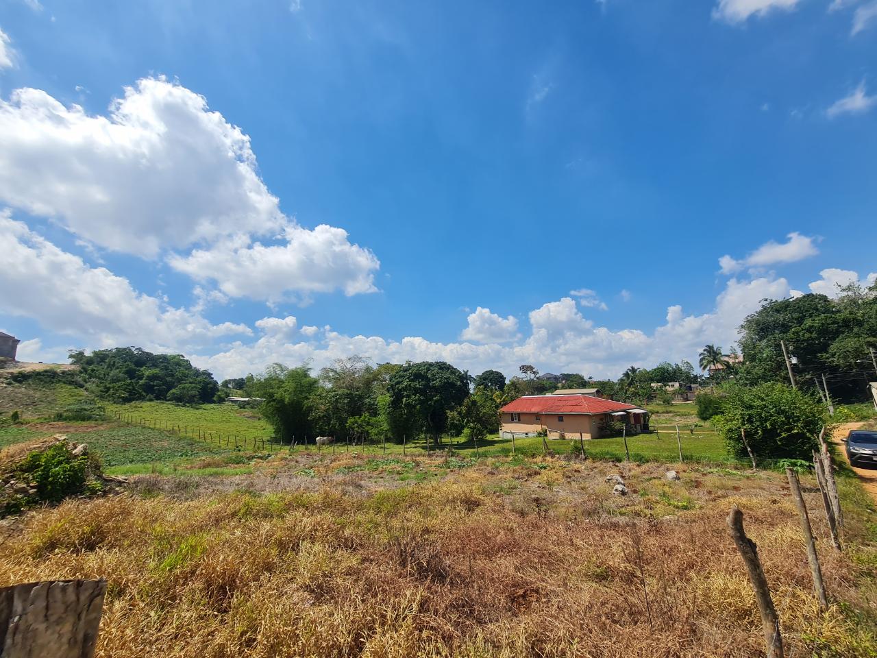 Tenth image of Waltham in Mandeville, Manchester, Jamaica - property is For Sale