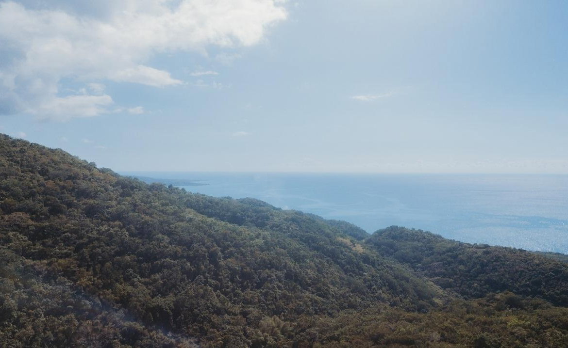 Second image of Cave in Cave, Westmoreland, Jamaica - property is For Sale