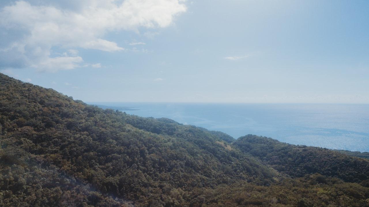 Second image of Cave in Cave, Westmoreland, Jamaica - property is For Sale