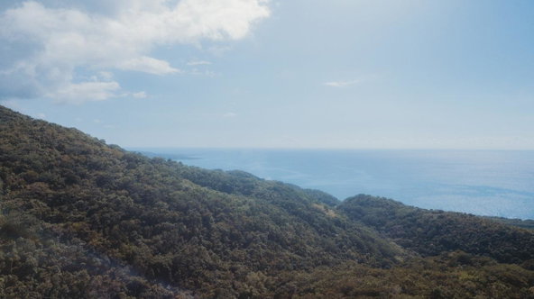 Second image of Cave in Cave, Westmoreland, Jamaica - property is For Sale