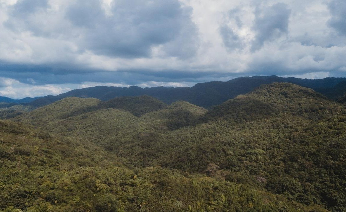 First image of Cave in Cave, Westmoreland, Jamaica - property is For Sale