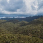 First image of Cave in Cave, Westmoreland, Jamaica - property is For Sale