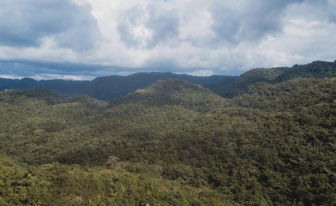 Third image of Cave in Cave, Westmoreland, Jamaica - property is For Sale