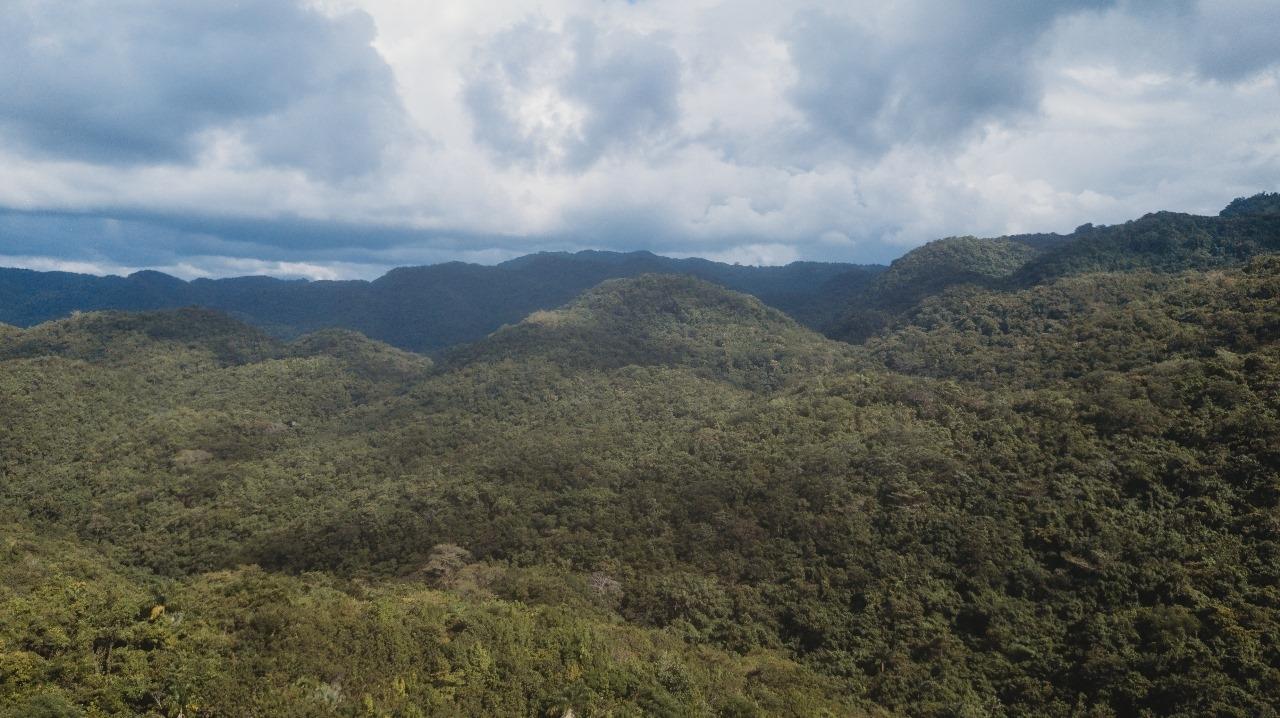 Third image of Cave in Cave, Westmoreland, Jamaica - property is For Sale