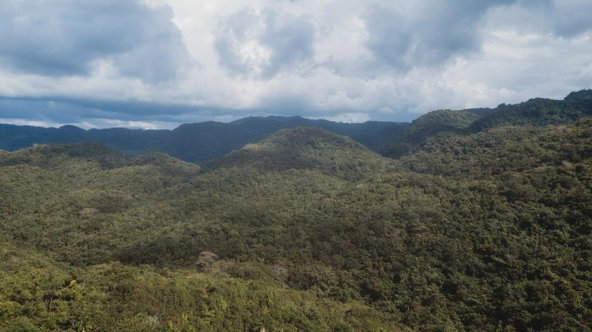 Third image of Cave in Cave, Westmoreland, Jamaica - property is For Sale